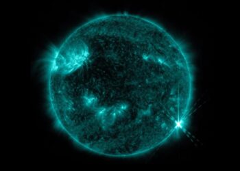 💡 Kritik Altyapı Korunuyor: Elektrik Şebekesi Güvenliği İçin Acil Eylem Planı