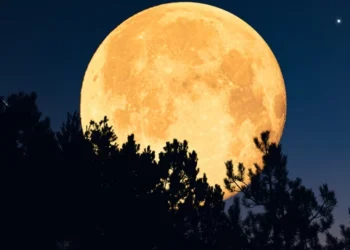 Astroloji ve Soğuk Ay Etkisi: 2025’in Duygusal Kapanışı Nasıl Yaşanacak?