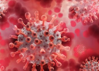 İngiltere’de yeni Maymun çiçeği varyantı: DSÖ’den Acil Durum Açıklaması