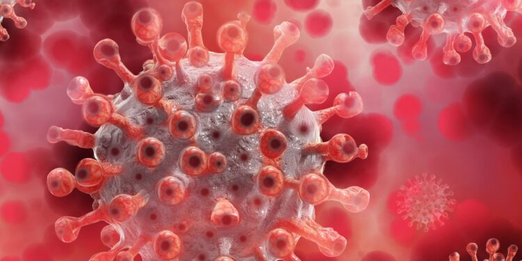 İngiltere’de yeni Maymun çiçeği varyantı: DSÖ’den Acil Durum Açıklaması