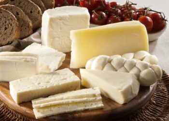 Yağlı peynir tüketmek demans riskini azaltıyor bulgusu heyecan yarattı