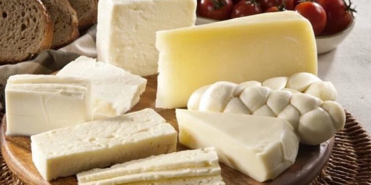 Yağlı peynir tüketmek demans riskini azaltıyor bulgusu heyecan yarattı
