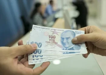 Seyyanen Zam Düzenlemesi: Seyyanen Zam İlkesinin Hiyerarşik Yapıyı Bozması ve Eşitsizlik